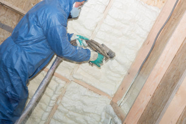 Best Wall Insulation Installation  in USA